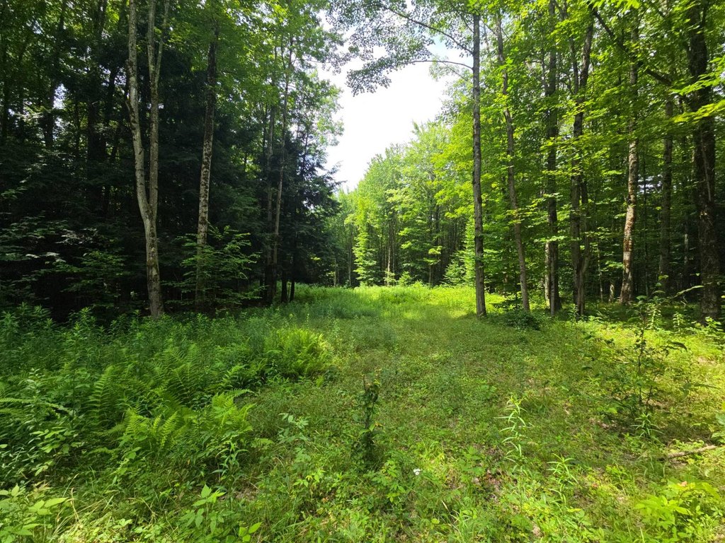 Picture 28
