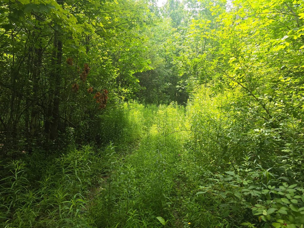 Picture 14