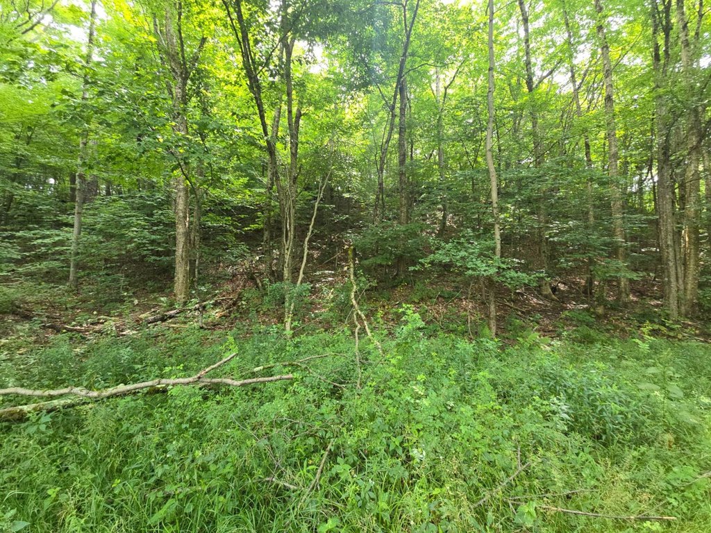 Picture 9