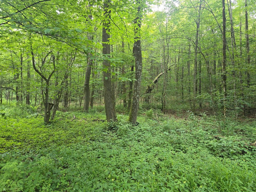 Picture 22