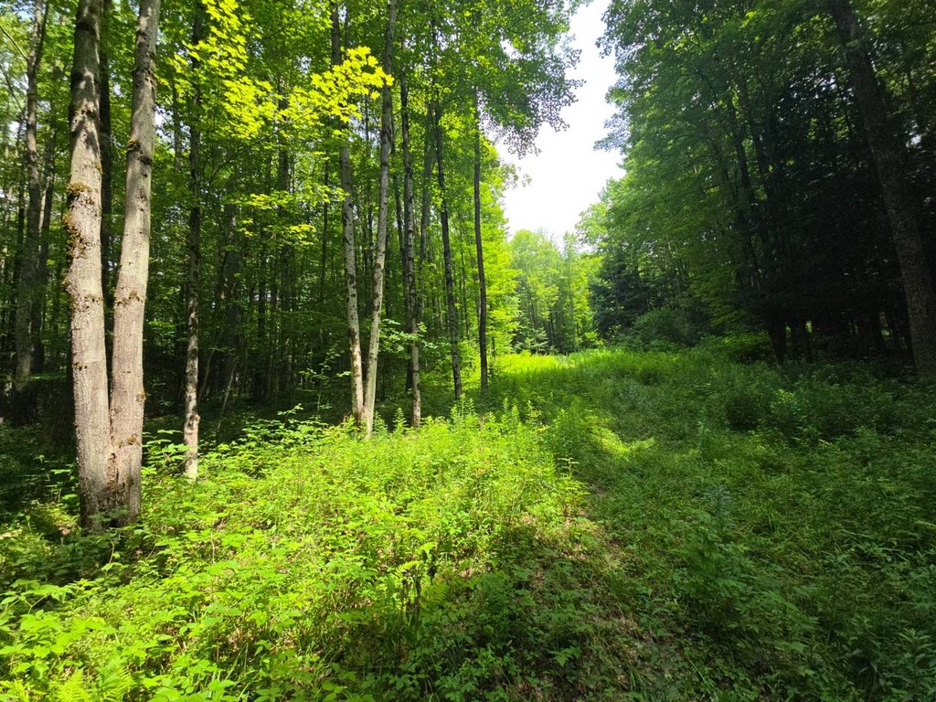 Picture 31
