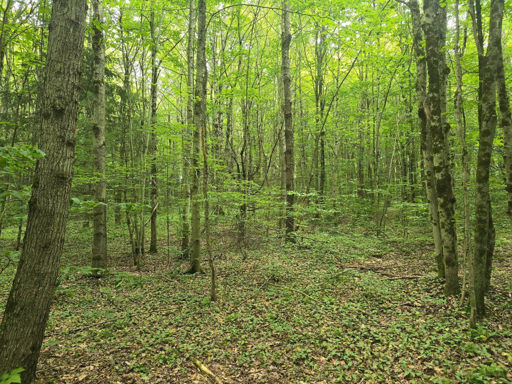 Picture 25