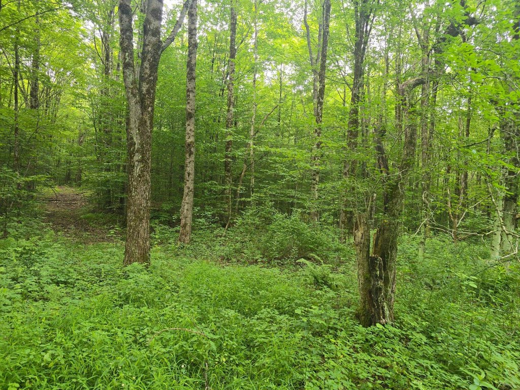 Picture 23