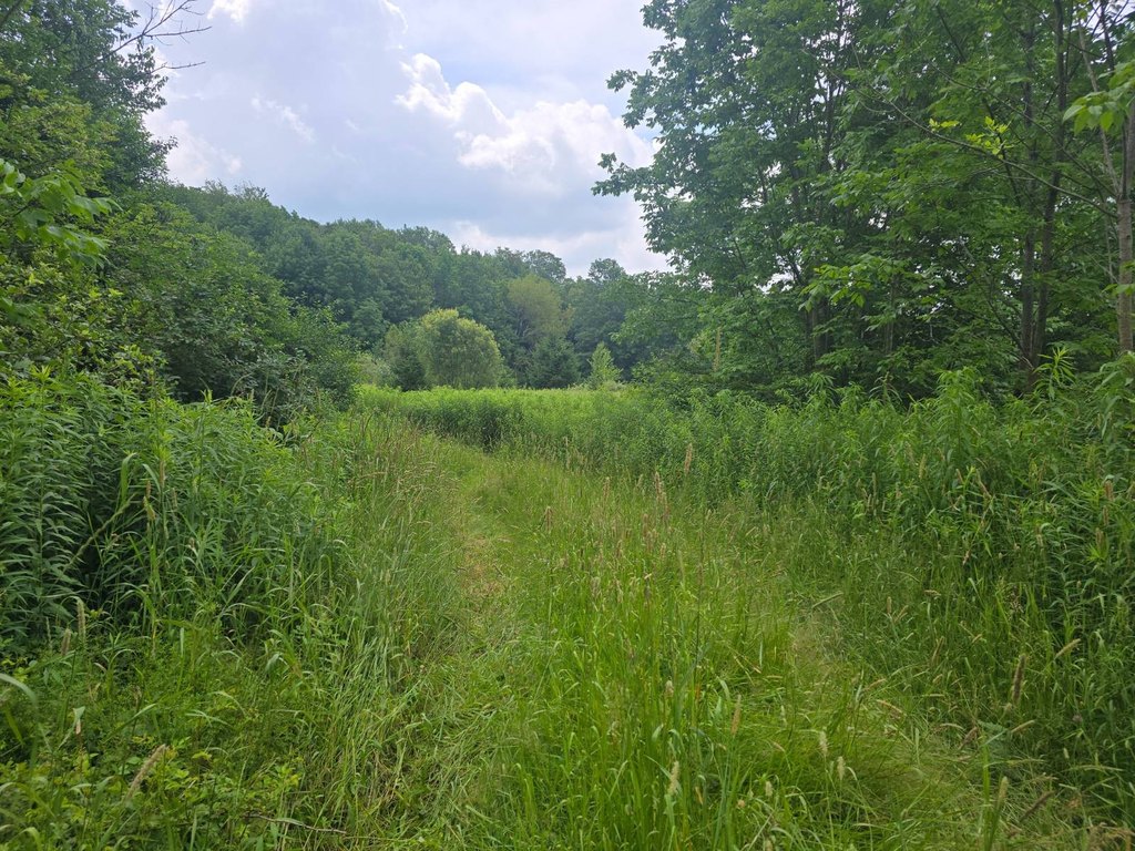 Picture 5
