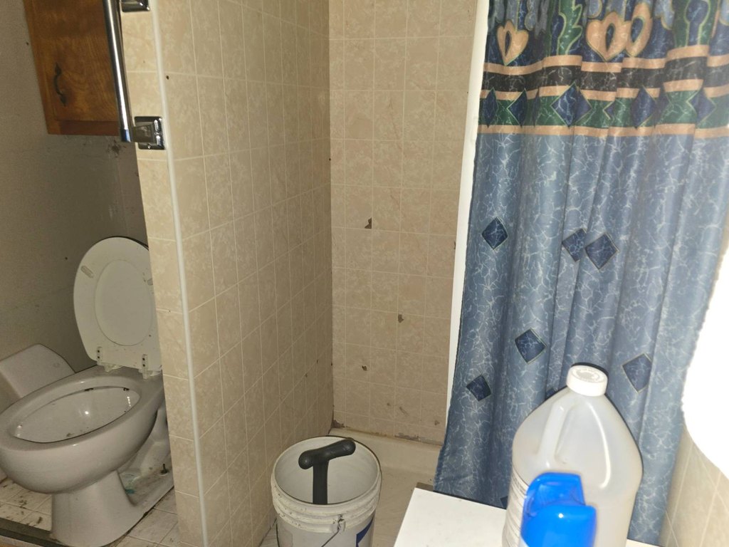 Picture 48