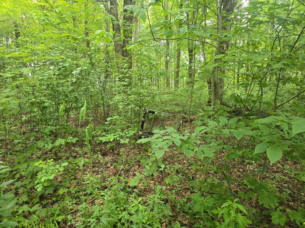 Picture 17