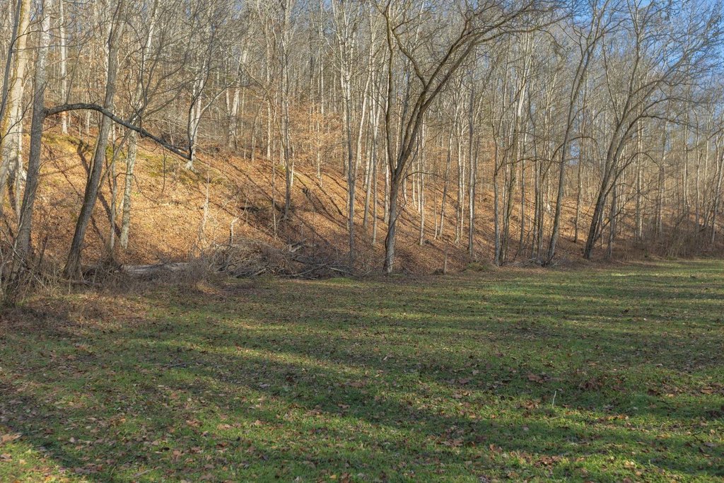 Picture 18