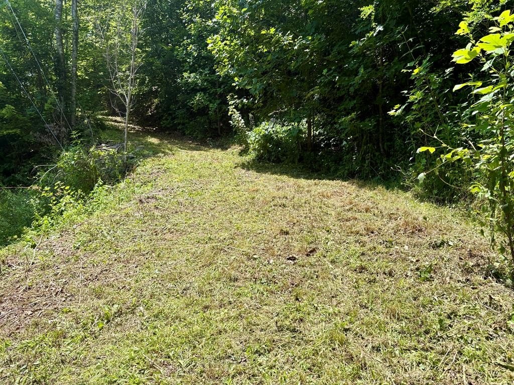 Picture 8