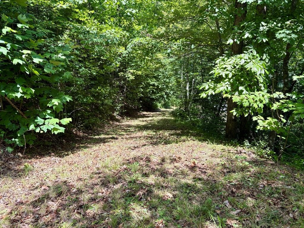 Picture 10