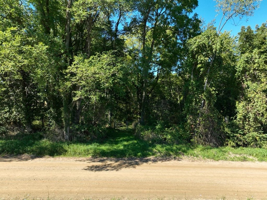 Picture 7