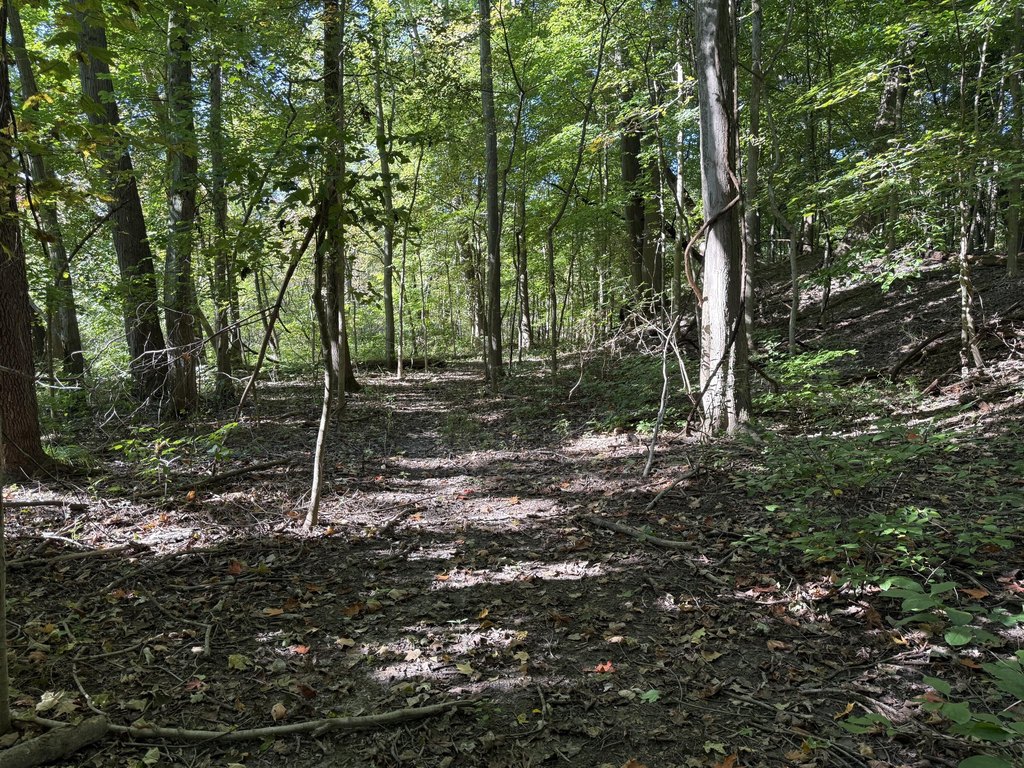 Picture 17