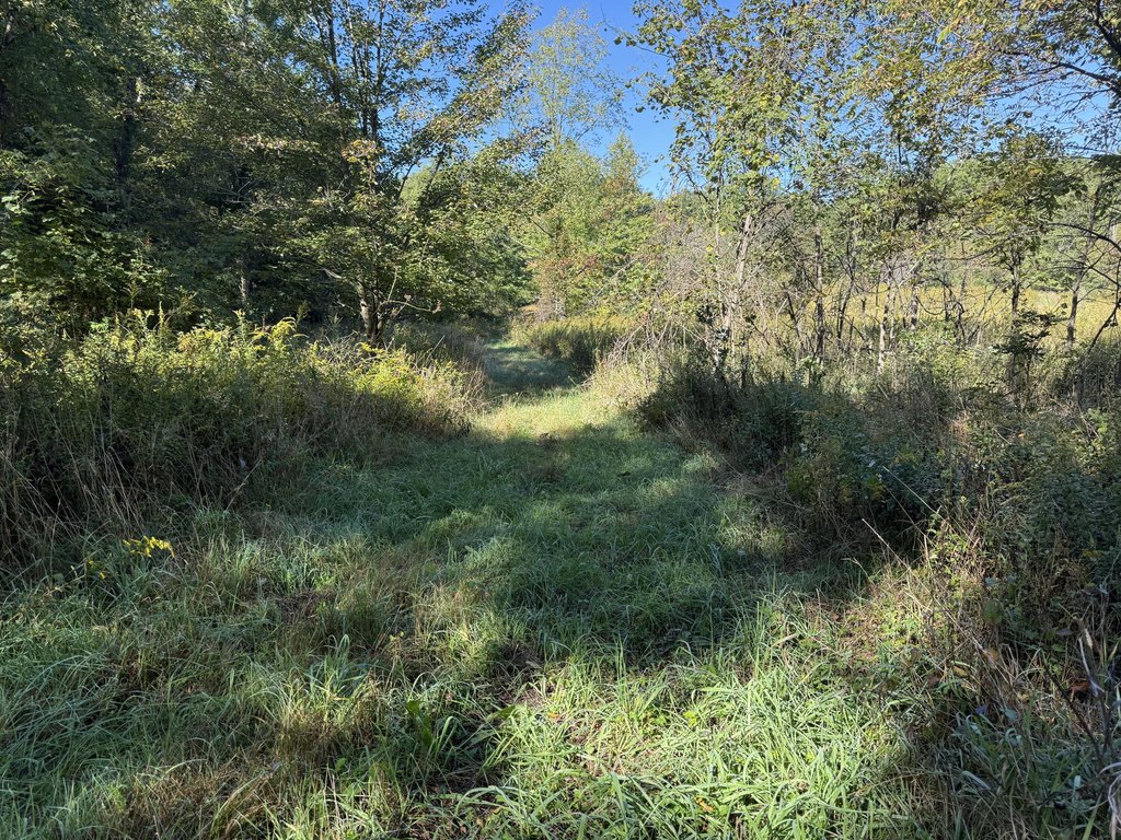Picture 18
