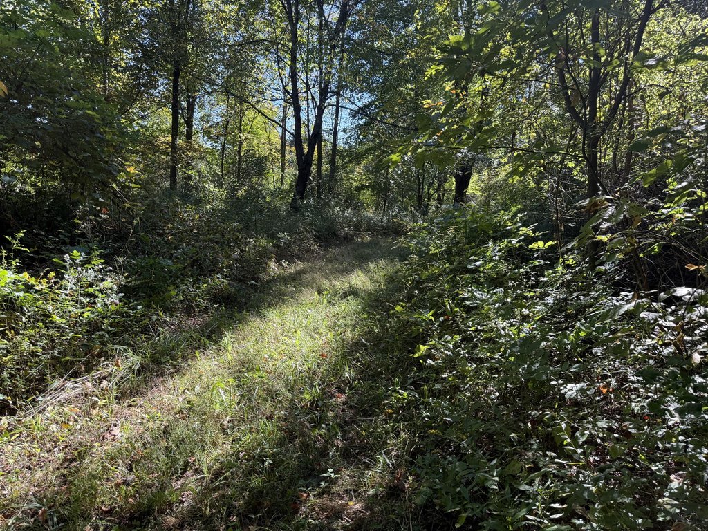 Picture 19