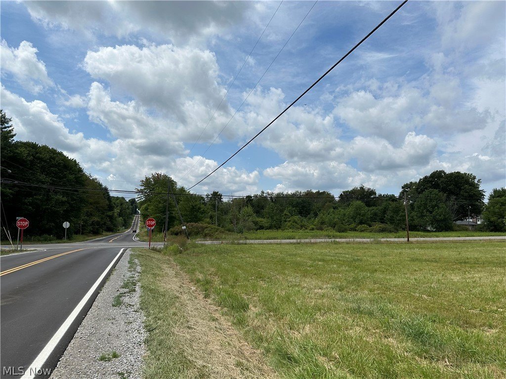 Picture 15