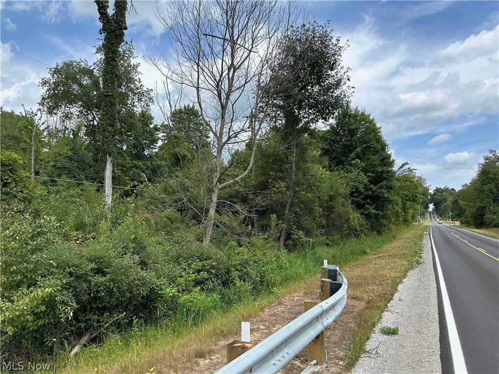 Picture 21