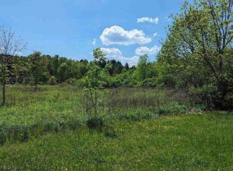LAND - Medina, OH