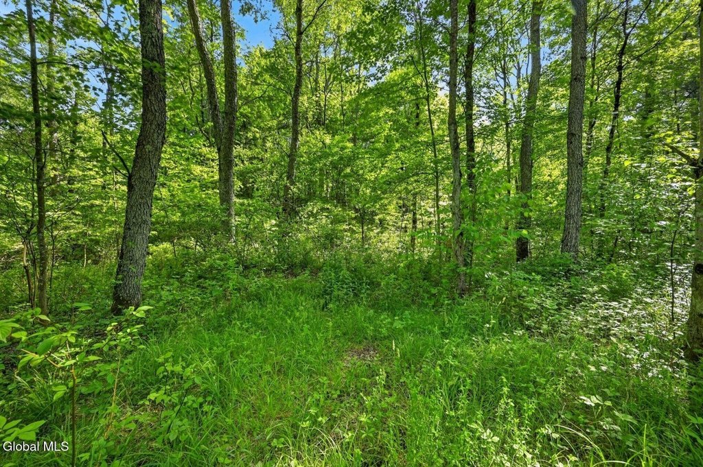 Picture 12