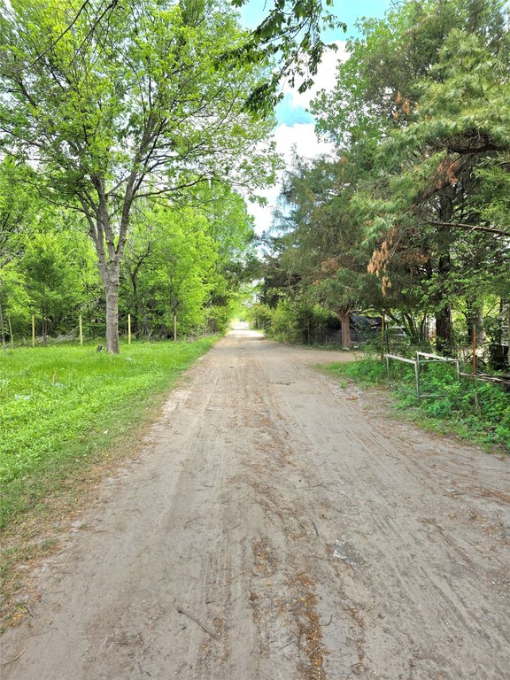 Picture 4
