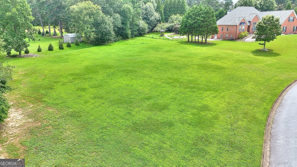 Picture 6