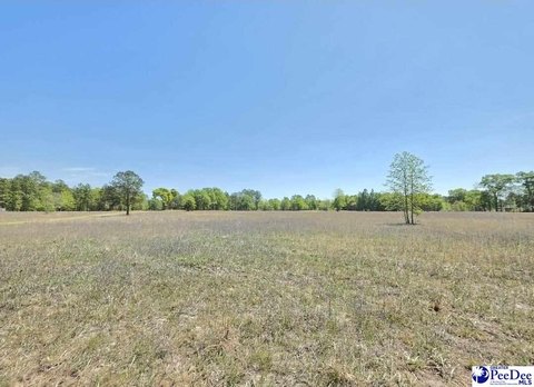 Land, Dillon, SC