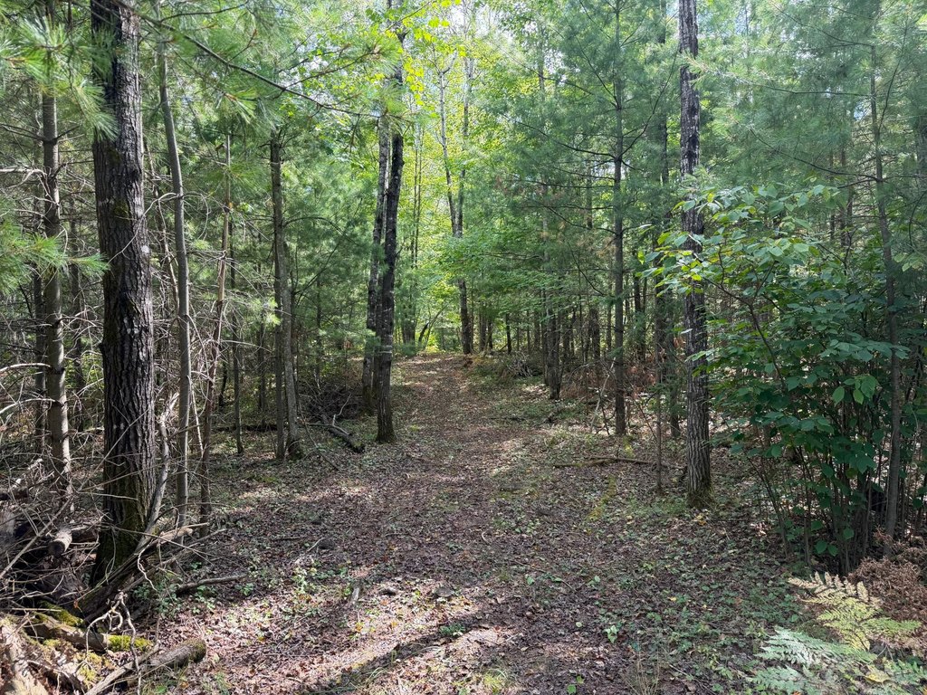 Picture 4
