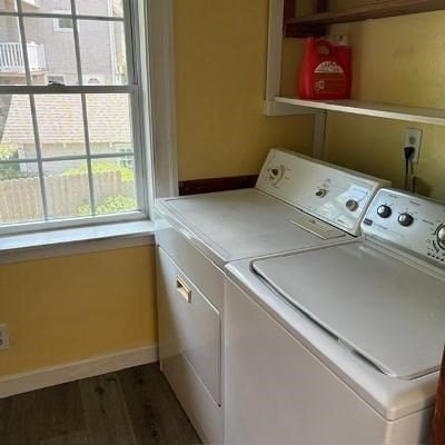 Picture 21