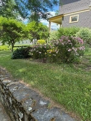 Picture 26