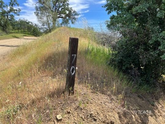 40 Acres in Trinity Alps