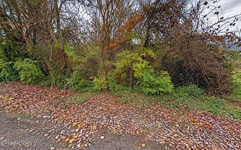 Lots & Acreage, Knoxville, TN