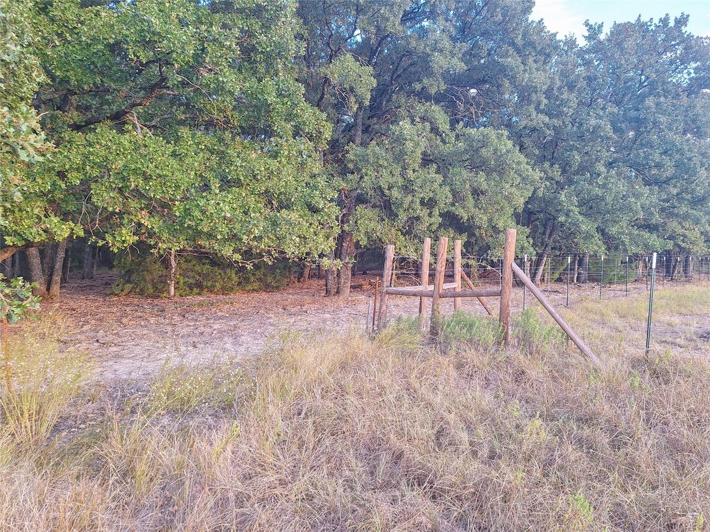 Picture 10
