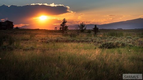 Land, Island Park, ID