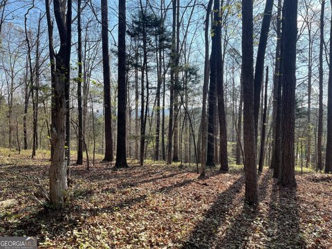 LAND - Cave Spring, GA