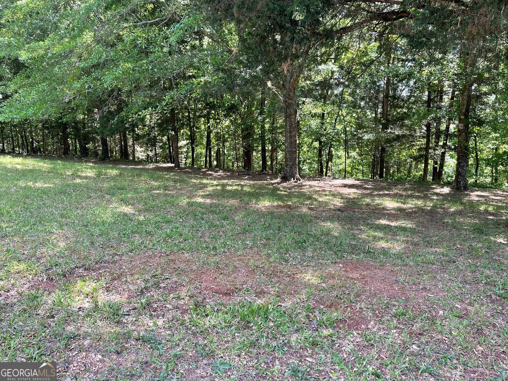 Picture 12