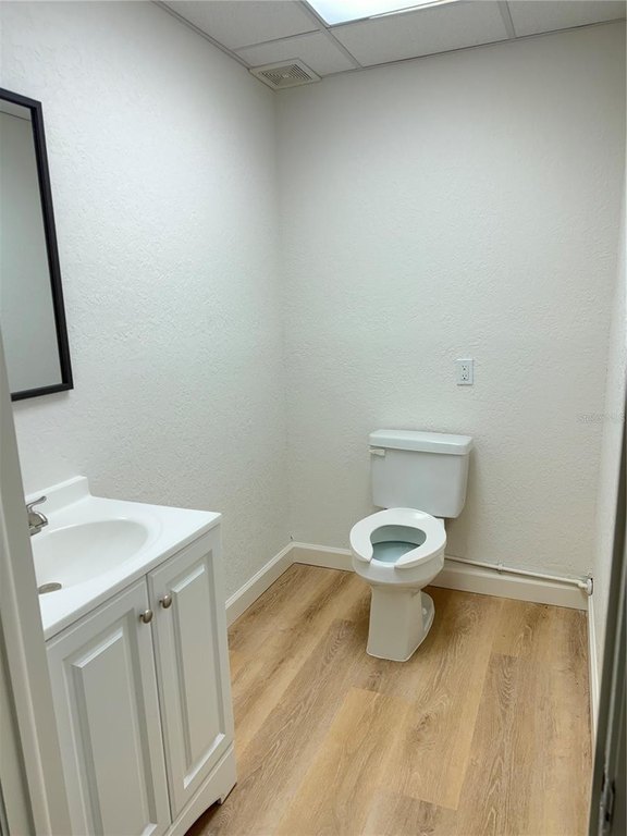 Picture 31