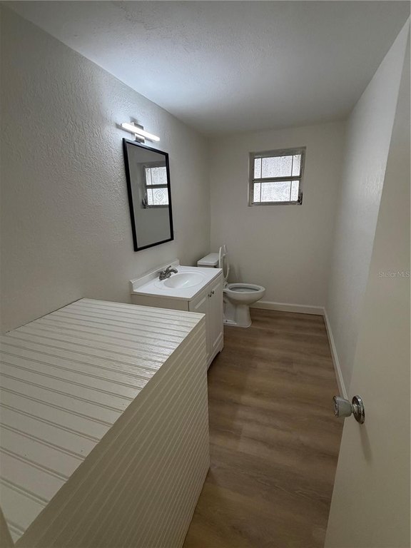 Picture 24