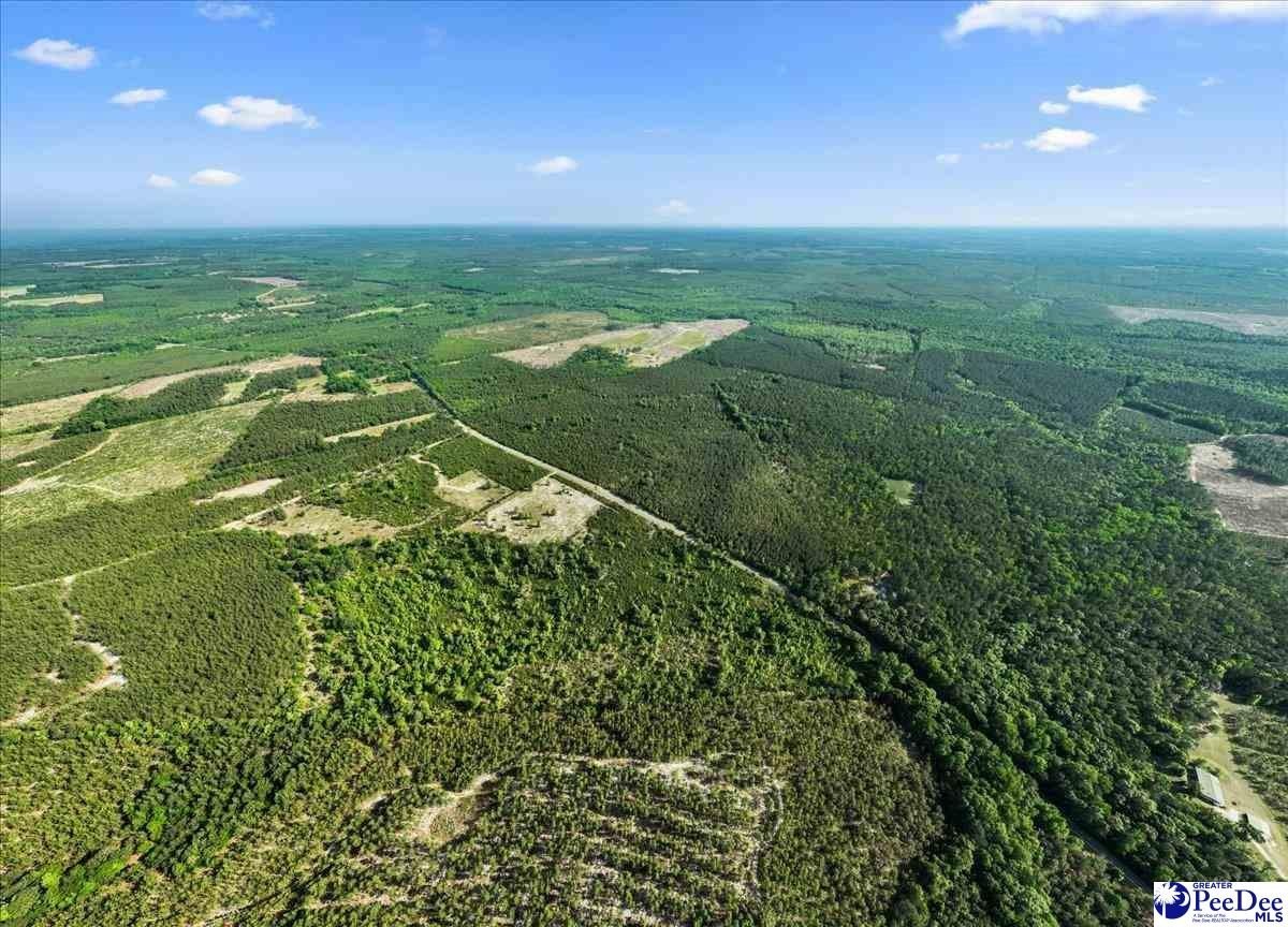 Undeveloped Land in Bethune, SC