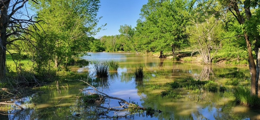 Picture 13