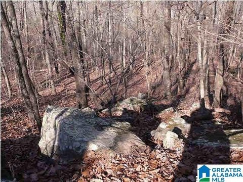 Zoned Building Lot with Scenic Views