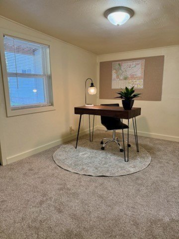 Picture 27