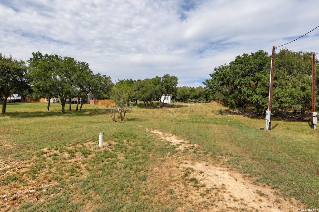 Picture 11