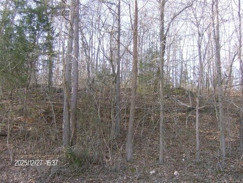 Tahlequah Homesite with Mature Trees