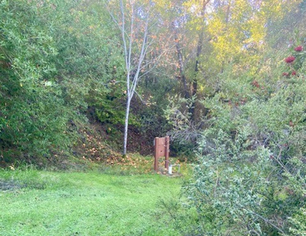 Picture 24