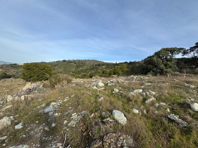 Picture 11