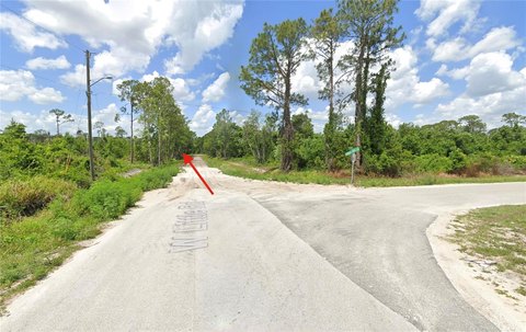Residential Lot in Avon Park