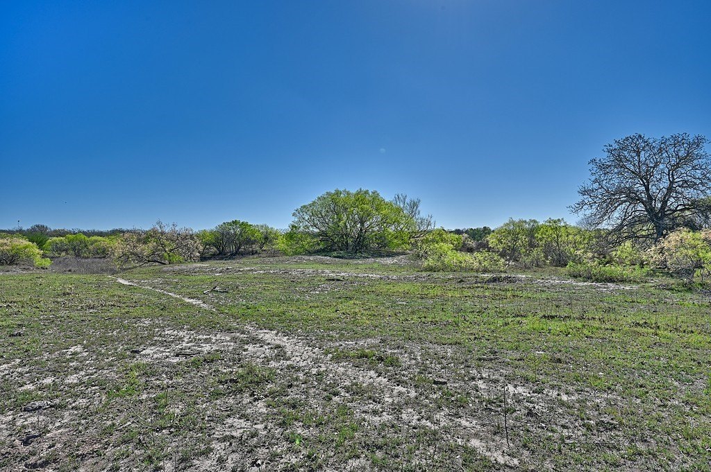 Picture 28