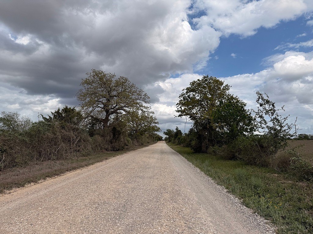 Picture 21