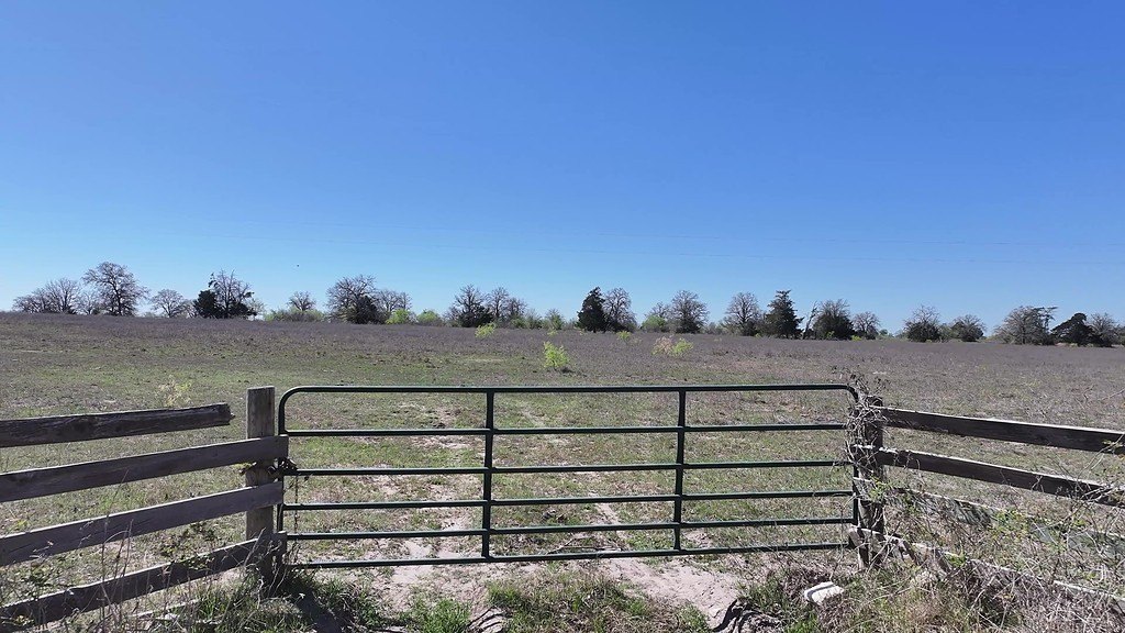 Picture 20