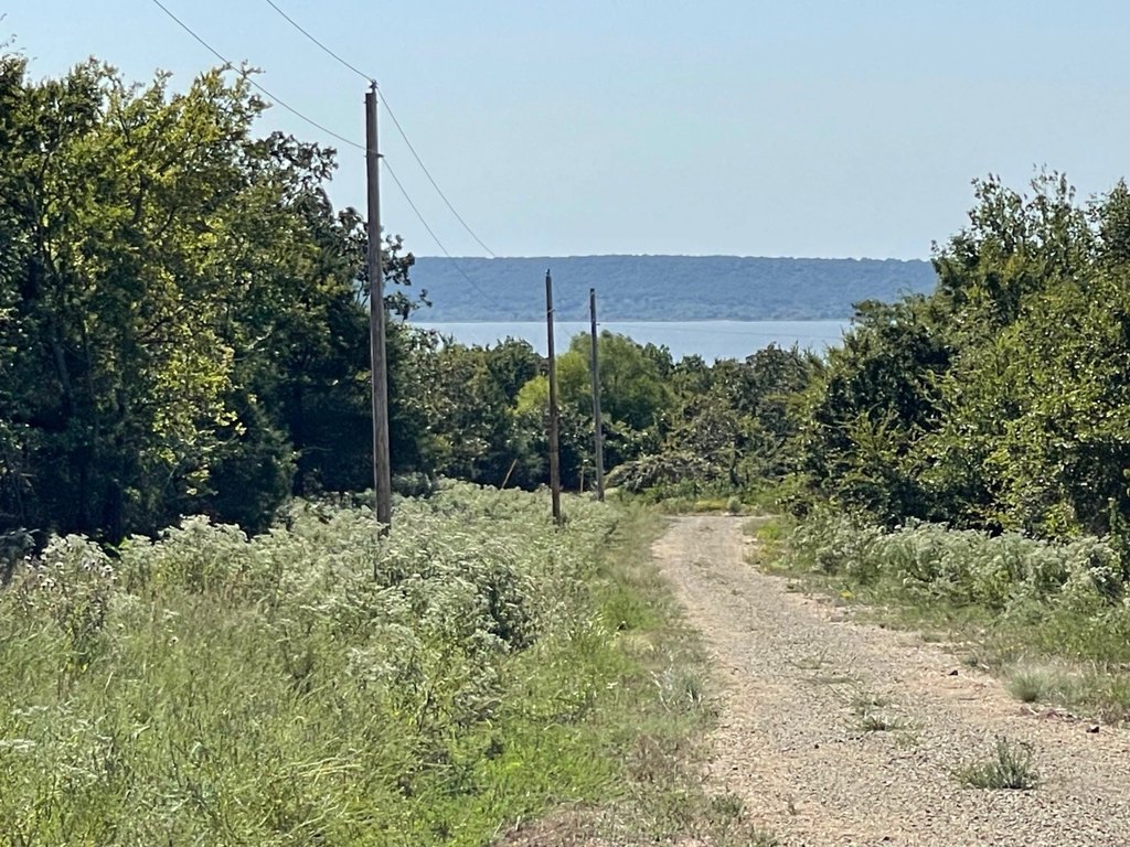 Picture 25