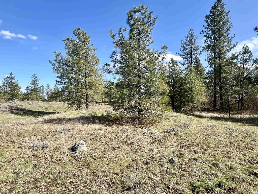 Picture 21