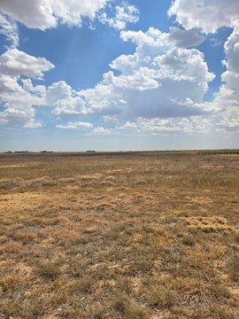 Land -40, Amarillo, TX